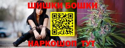 шишки Нарткала