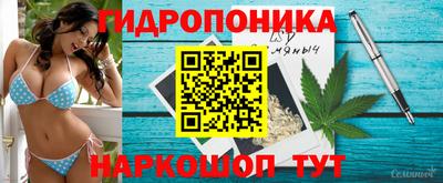 шишки Нарткала