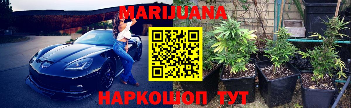 Санкт-Петербург  Марихуана Amnesia  Вход с VPN  Каннабис тримм  Марихуана конопля  Бошки марихуана White Widow 